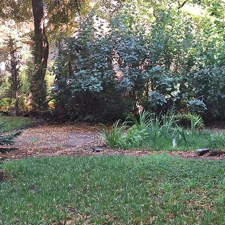 Oda ve Kahvaltı Casa Ferrari 3*