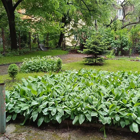 Oda ve Kahvaltı Casa Ferrari Sofya